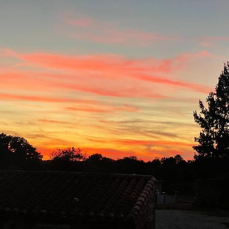 Maison Hirondelles Hotes Mezieres-sur-Issoire 外观 照片