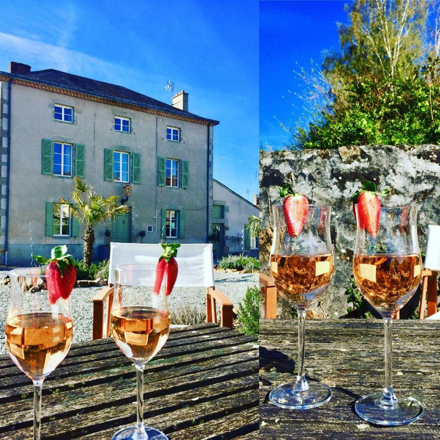 Maison Hirondelles Hotes Mezieres-sur-Issoire 外观 照片